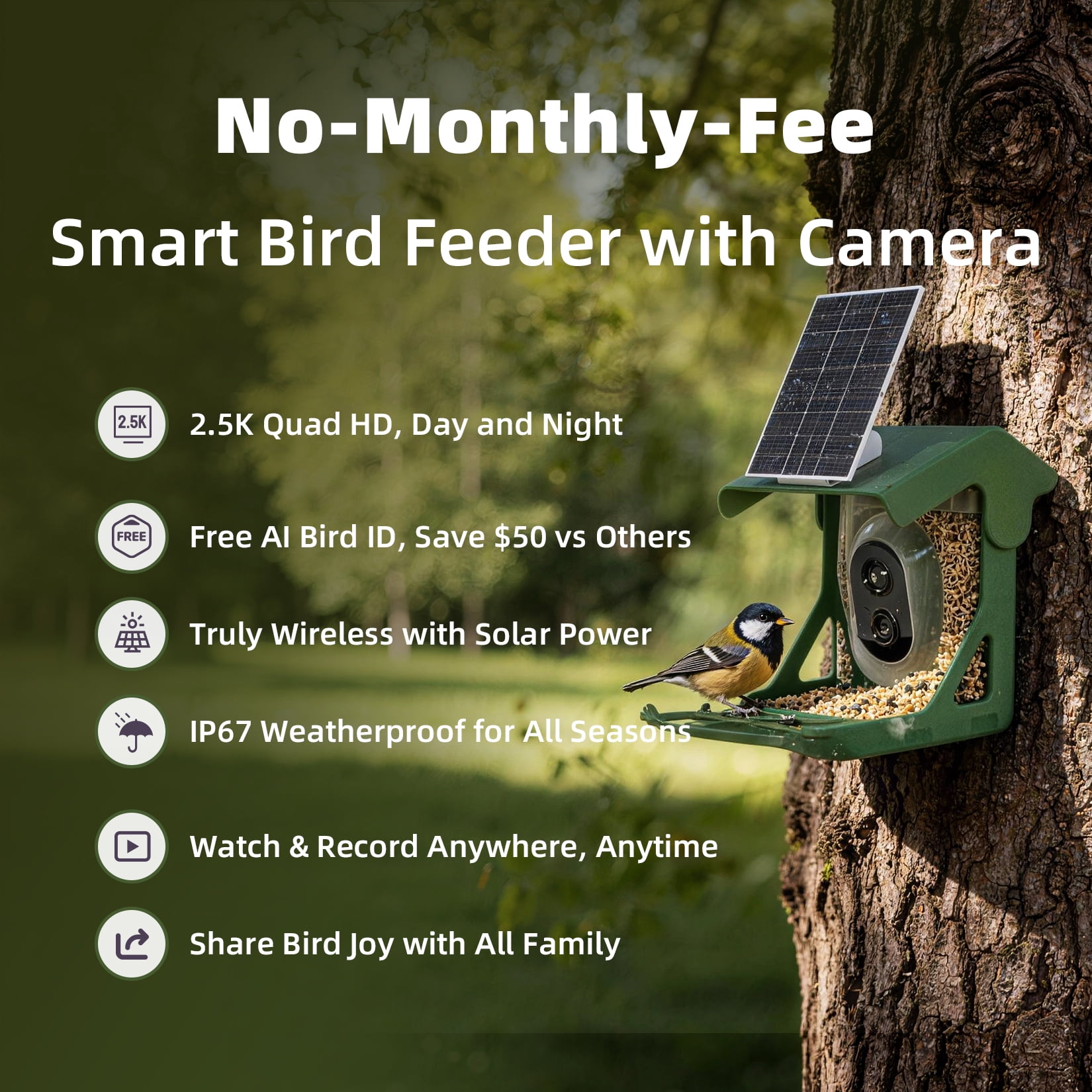 CINMOORE No-Monthly-Fees Solar Bird Feeder w/ 4MP Camera, Free AI Birds Species Identification, 2.5K Smart Bird House with Camera, Live View & Playback, Instant Arrival Alerts, Ideal for Birdlovers