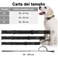 thumbnail image 4 of Collares Y Correas Para Perros Medianos Y Grandes, 4 of 7