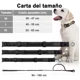 thumbnail image 4 of Collares Y Correas Para Perros Medianos Y Grandes, 4 of 7