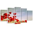 thumbnail image 2 of Coquelicots Rouges Enflammés - Impression sur Toile Florale, 2 of 3