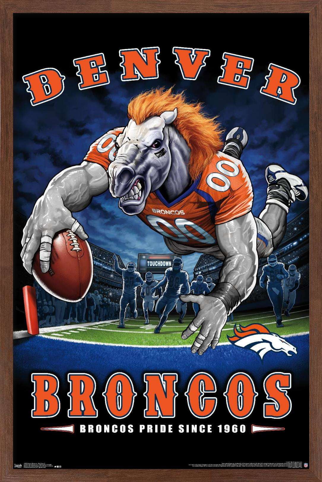 NFL Denver Broncos End Zone 17 Wall Poster, 14.725" x 22.375", Framed