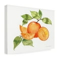 thumbnail image 4 of Trademark Fine Art 'Citrus Garden VIII' Canvas Art by Kathleen Parr McKenna, 4 of 4