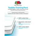 thumbnail image 5 of Fruit of the Loom Baby and Toddler Boy Training Pants, 6 Pack, 5 of 9