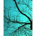 thumbnail image 2 of Peck, Gail 15x18 Gold Ornate Wood Framed with Double Matting Museum Art Print Titled - Branches on Teal I, 2 of 4
