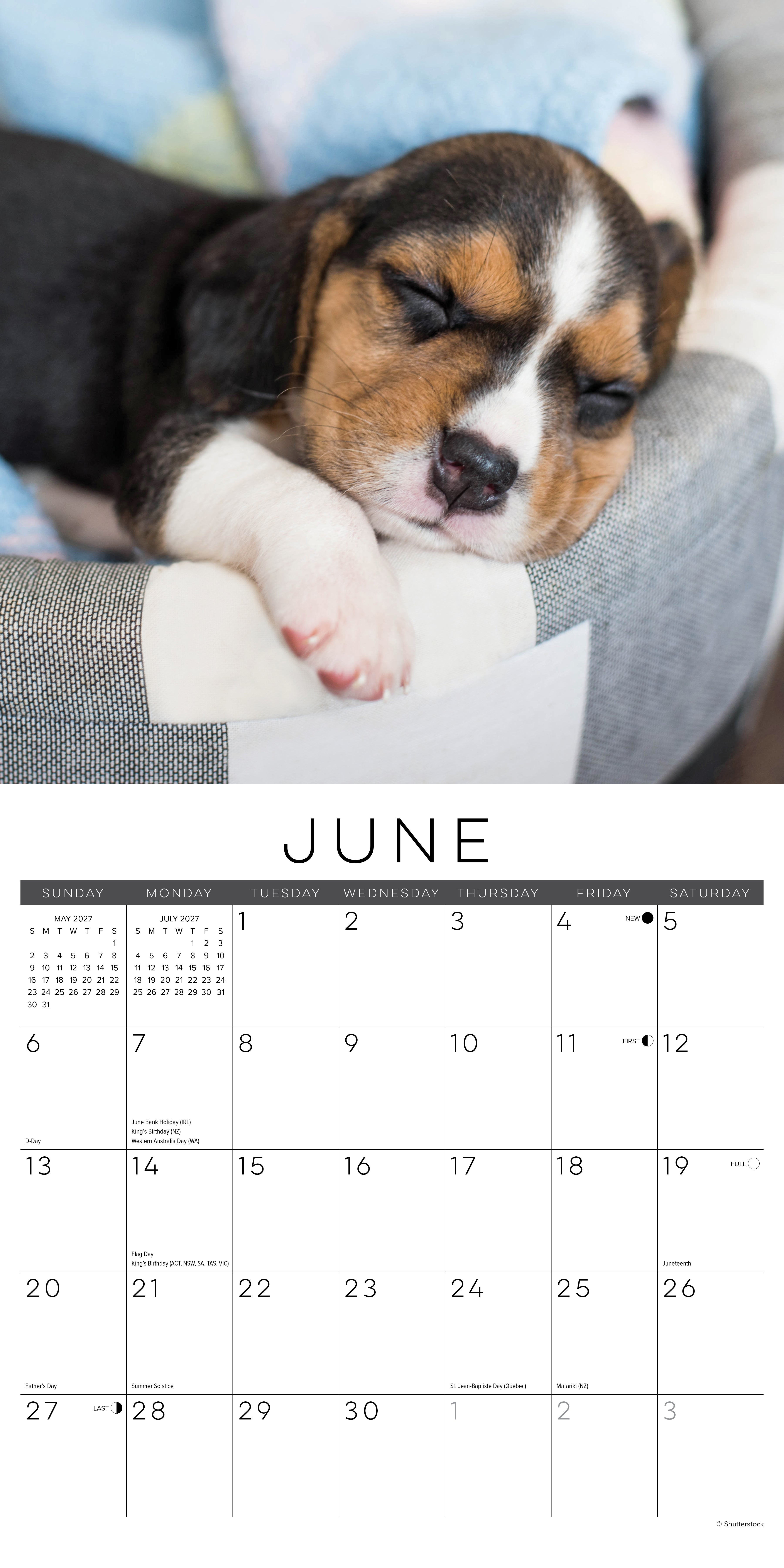 Willow Creek Press, Naptime: Dogs & Puppies on their Best Behavior 2027 Wall Calendar