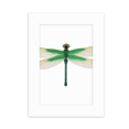 thumbnail image 1 of Traditional Chinese Kite Dragonfly Pattern Desktop Photo Frame Picture Display Decoration Art Painting, 1 of 3