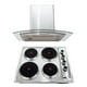 thumbnail image 1 of Combo Parrilla Eléctrica 4 Quemadores Acero Inox y Campana Cristal 60 cm Acero Inox Disa Home PAEL4/CAMPC60C, 1 of 10