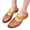 Brown, variant on KEVCHE Womens Jelly Slip On Mule Sandals, Pointy Strap Mary Jane Slides with Low Heel, Hollow Out Transparent Glitter Beach Shoes, Lightweight Breathable Comfort Sandals