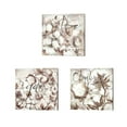 thumbnail image 2 of Metaverse Tre Sorelle Studios 'Cotton Boll Triptych Sentiment (Home)' Canvas Art (Set of 3), 2 of 5