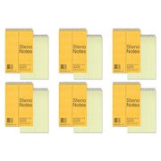 National Brand Brown Board Cover Steno Notebook, Gregg, Green Paper, 6 x 9 Inches, 60 Sheets (36646), 6 Packs