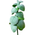 thumbnail image 1 of Coofit Artificial Succulent Pick DIY - Unpotted Mini Succulent Decor Faux Plant Stem, 1 of 4