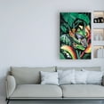 thumbnail image 3 of Trademark Fine Art 'Rainforest Prince' Canvas Art by Dann Spider Warren, 3 of 3