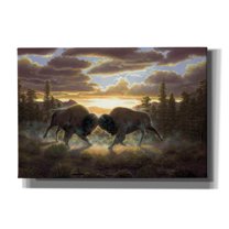 Epic Graffiti 'Buffalo' by R. Hed, Canvas Wall Art, 26"x18"