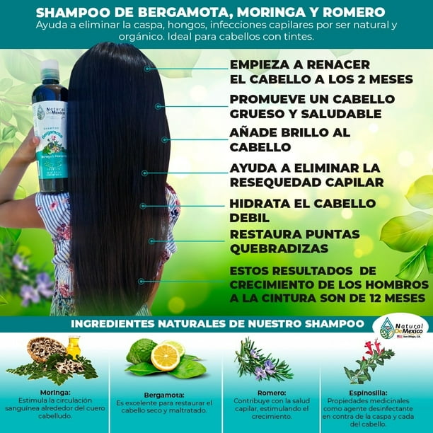 3 de Bergamota Moringa y Romero - Natural de Mexico - Gratis Walmart.com