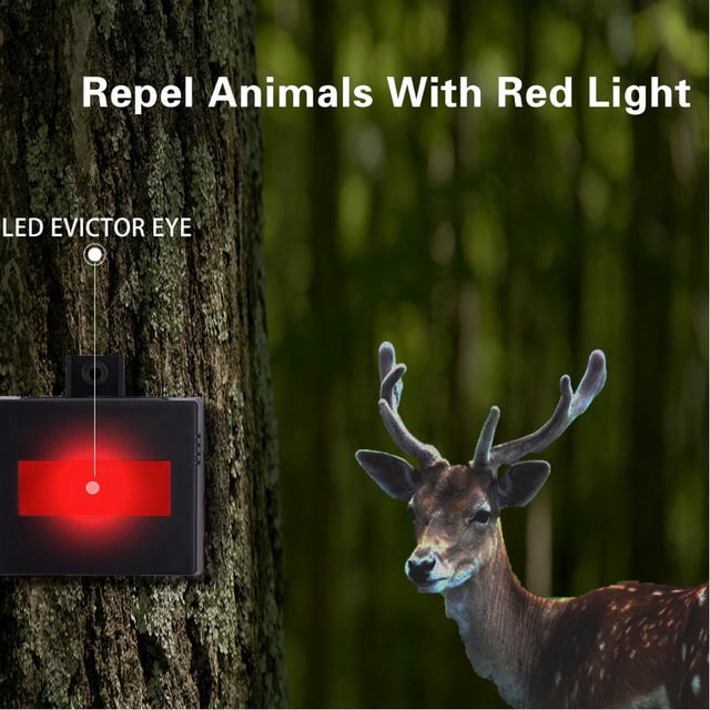 Xihbxyly Luz Led Repelente de Aves Ranch Farm, Protección Solar para Exteriores, Diseño No Invasivo, Resistente a La Intemperie y Duradero, Ideal para Jardín Exterior, Fuente de Energía Sostenible, T
