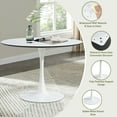 thumbnail image 5 of 31.5" Round Tulip Table in White, Mid-Century Modern Dining Table with Square Top and Pedestal Base, Conference Pedestal Desk, Leisure Coffee Table, Seat for 2-4, Max Loading 330lbs, K2038, 5 of 8