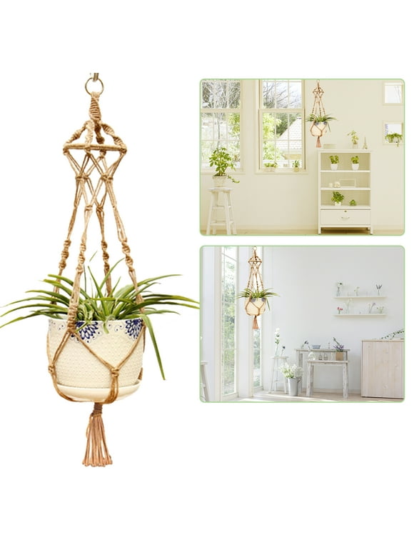Plant Hangers in Indoor Planters