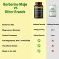 thumbnail image 4 of Suplemento Berberine Mojo 1500 mg con magnesio y canela 60 tabletas, 4 of 5