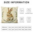 thumbnail image 5 of ARISTURING  Easter Carrot Bunny Throw Pillow Cover, Happy Easter Cushion Case for Sofa Couch, 5 of 5