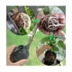 thumbnail image 3 of Propagador De Cepellón De Plantas Belug caja Cultivo Raíces negro, 3 of 6