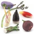 thumbnail image 2 of Simulation Vegetable Fruit Action Figure Realistic Figurines Model Ornaments Children Cognitive Educational Toys, 2 of 6