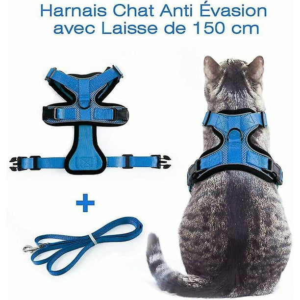 Gilet pour chat hotsell