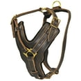 thumbnail image 7 of Dean & Tyler Leather Dog Harness The Victory Brown Large, 7 of 7