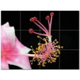 thumbnail image 1 of Flowers Ceramic Tile Mural Kitchen Backsplash Bathroom Shower 402405-M43, 1 of 3