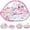 Pink, variant on Baby Play Gym, 4-in-1 Baby Activity Gym & Tummy Time Play Mat, Infant Play mat, Combination Activity Gym for Sensory Exploration and Motor Skill Development from Baby to Toddler Pink