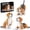 3 in 1 Hound Dog Mini Building Blocks, variant on 3 in 1 Hound Dog Mini Building Blocks Set, 1032 PCS Micro Building Kit for Adults & Teens, Small Brick Animal Model, Desk Decor Display Gift