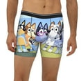 thumbnail image 2 of Lsque Bluey Pattern Men's Performance Stretch Underwear, Athletic Long Leg Briefs，Moisture-Wicking-Small, 2 of 6