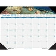 thumbnail image 1 of House of Doolittle EarthScapes Sea Life Desk Pads - Julian Dates - Monthly - 1 Year - January 2023 till December 2023 - 1 Month Single Page Layout - 22" x 17" Sheet Size - 2.25 | Bundle of 10 Each, 1 of 1