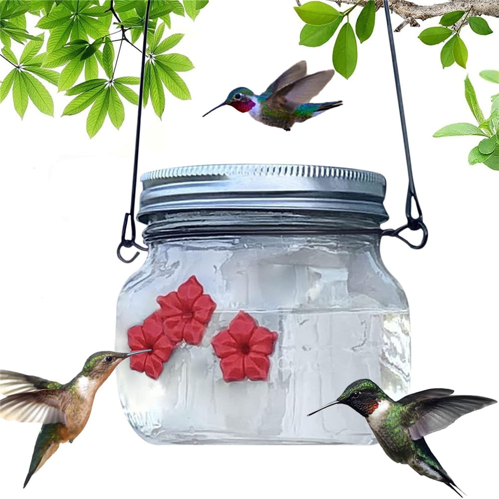 Mason Jar Hummingbird Dish Feeder, Clear