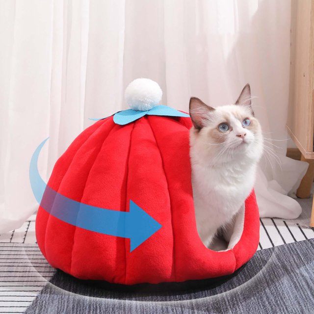 Lit pour Chat Grotte Maison pour Chat Forme Citrouille Sans Déformation Lit pour Animal Lit pour Chaton Peluche