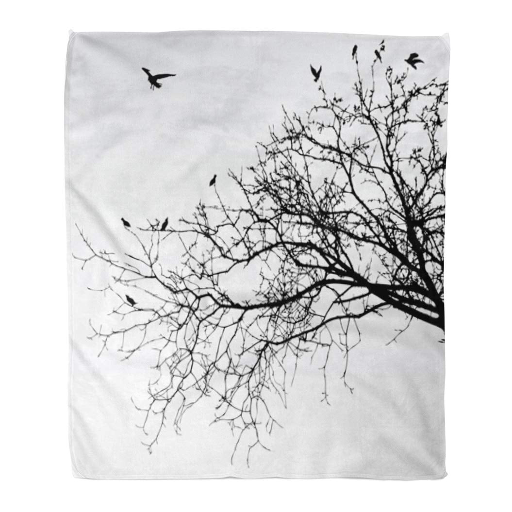 Hatiart Throw Blanket Warm Cozy Print Flannel Tree Branches Branch Silhouette Black White Comfortable Soft For Bed Sofa And Couch 58x80 Inches Walmart Canada Hatiart Throw Blanket Warm Cozy Print Flannel Tree Branches Branch Silhouette Black White Comfortable Soft For Bed Sofa And Couch 58x80 Inches Walmart Canada