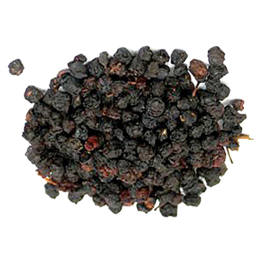 Bilberry berry whole
