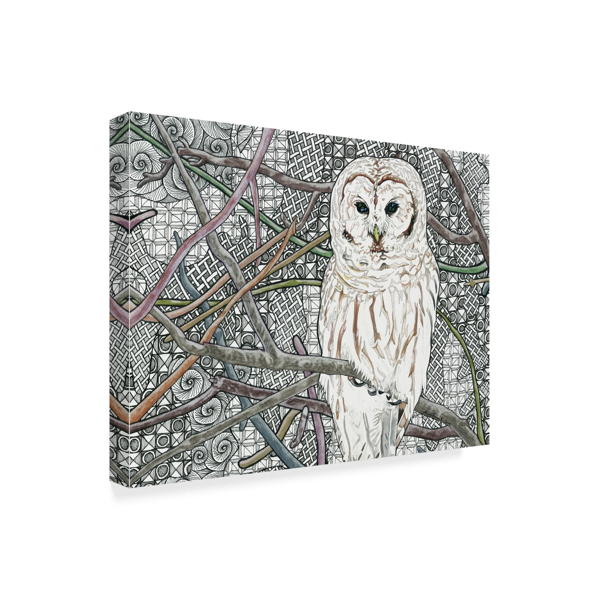 Trademark Fine Art 'Barred Owl White' Canvas Art by Amy Frank