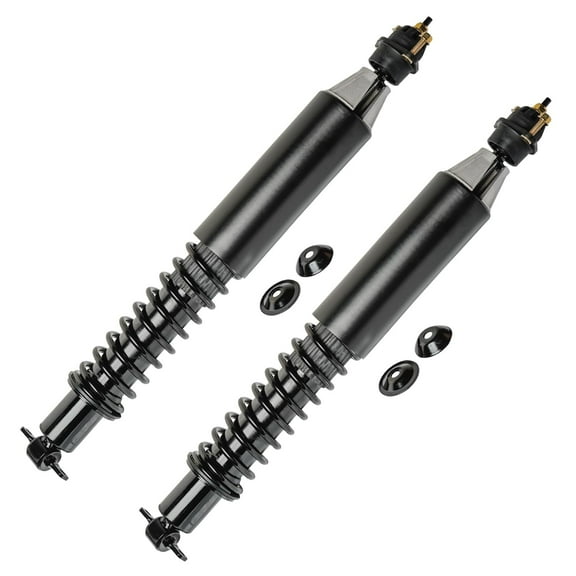 Detroit Axle Easy Installation Rear Struts Kit, 2 Struts
