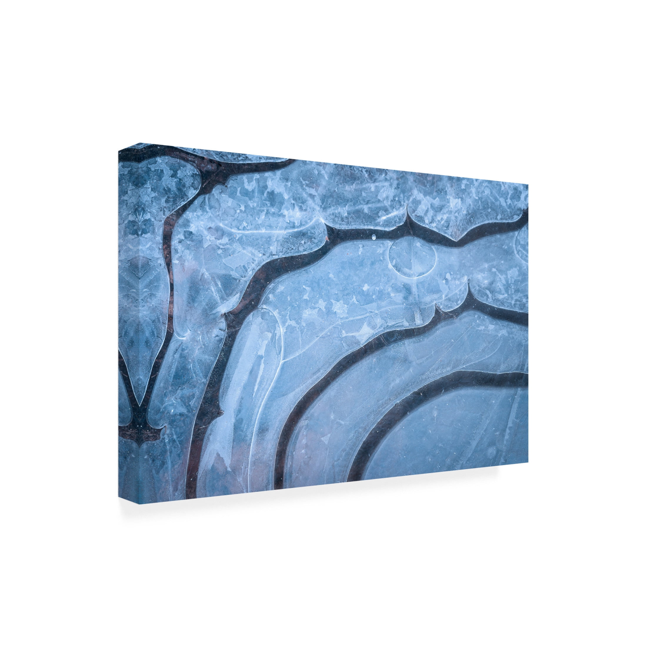 Trademark Fine Art Christian Lindsten Iceformations Canvas Wall Art