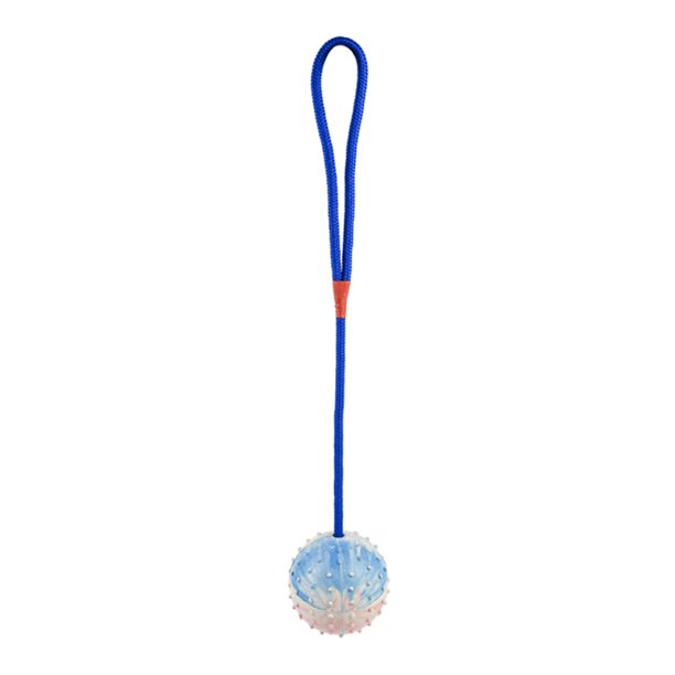 Greeniant Pelota de entrenamiento para masticar mascotas de goma interactiva no tóxica, limpieza de dientes, juguete de cuerda para jugar con mascotas Suministros para perros No.02