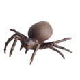 thumbnail image 2 of Neinkie Tarantula, Stretchy Toy Super Stretchy Animal Replicas That Feel Real, Great for Kids, 2 of 6