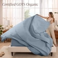 thumbnail image 3 of Bare Home Organic Percale Sheet Set - 100% Organic Cotton - Full, Dusty Blue, 3 of 10