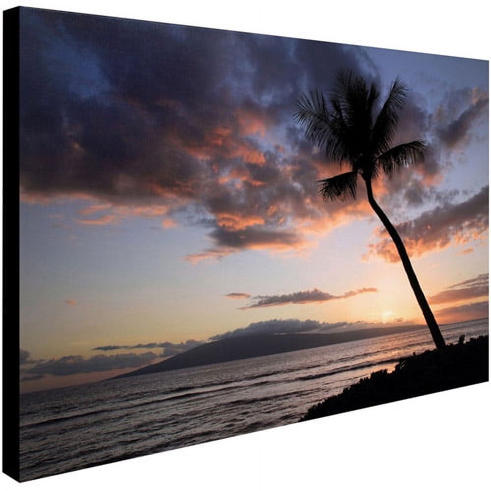 Trademark Fine Art "Palm Tree Maui" Canvas Art by Pierre Leclerc
