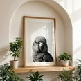 thumbnail image 4 of baby parro - Photography Bird Wildlife Black and White Portrait Animal Minimalist Nature Oak Framed Wall Art Print 20 x 30 inches, 4 of 59