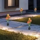 thumbnail image 5 of CaiYueKe Solar Powered Rose Garden Lights Outdoor Waterproof LED Decorative Lawn Stake Lights for Yard Pathway Patio Landscape Decor, 5 of 7