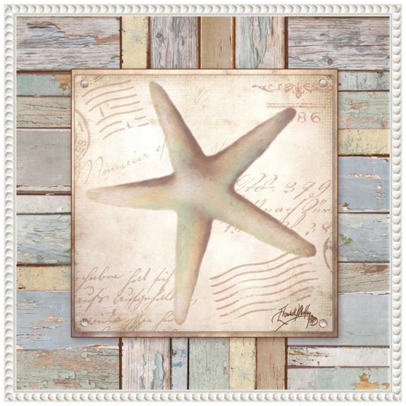 Amanti Art Beach Shell IV Framed Canvas Wall Art Print
