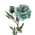 thumbnail image 3 of Flor artificial 1 flor 1 capullo seco quemado rama de peonía decoración del hogar, 3 of 8
