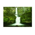 thumbnail image 2 of MERIGLARE Tank Sticker Aquarium PVC Adhesive Background Backdrop Decoration XS, 2 of 9