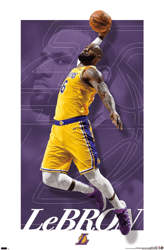 nba los angeles lakers lebron james 21 wall poster 22 375 x 34 walmart com