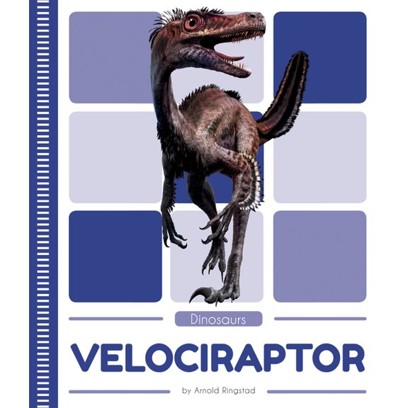 Velociraptor (Paperback)